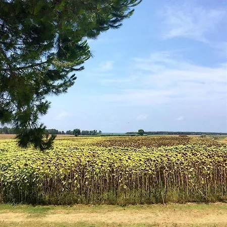 Podere Giulio 3*